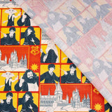 Amis de Harry Potter en coton - Ribes y Casals