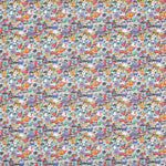 Coton Peinture Multicolore - Ribes y Casals