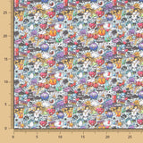 Coton Peinture Multicolore - Ribes y Casals