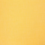 Coton Oxford Jaune - Ribes y Casals