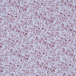 Coton Oxford Floral Grenat - Ribes y Casals