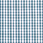 Coton Vichy Maxi Canard - Ribes y Casals