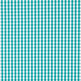 Coton Vichy Mini Vert - Ribes y Casals