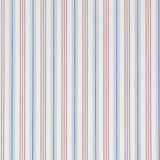 Coton Chemise Turin - Ribes y Casals