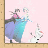 Coton Frozen 2 Rose - Ribes y Casals