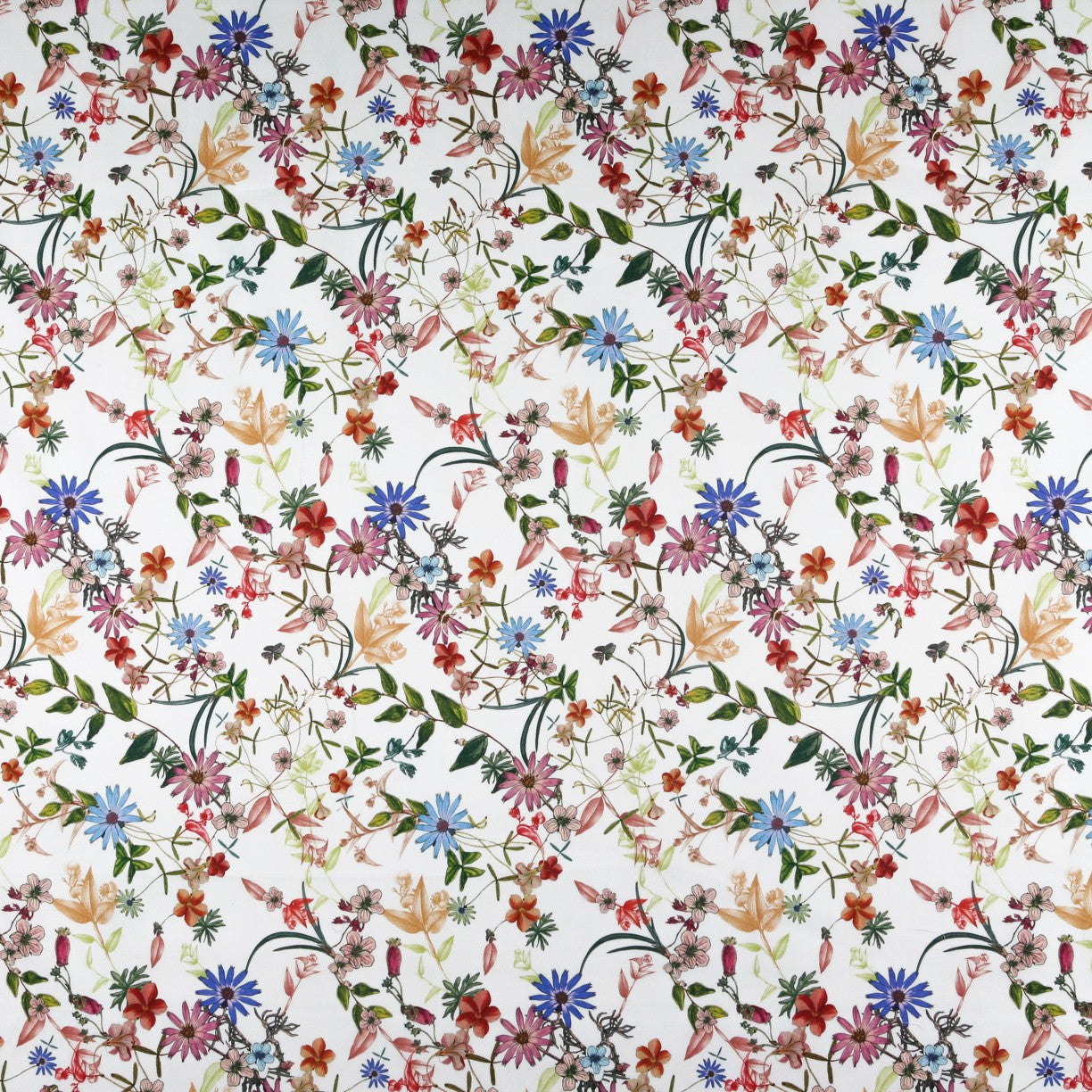 Coton Lycra Jardin Ecru - Ribes y Casals