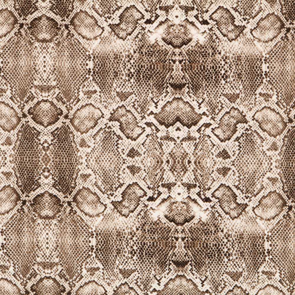 Coton Reptile Beige Elasthanne - Ribes y Casals