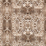 Coton Reptile Beige Elasthanne - Ribes y Casals