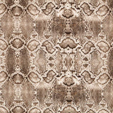 Coton Reptile Beige Elasthanne - Ribes y Casals