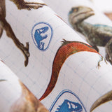 Coton T-Rex Jurassique - Ribes y Casals