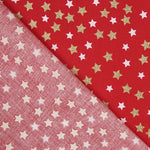 Coton Étoiles Noël  Doré - Ribes y Casals