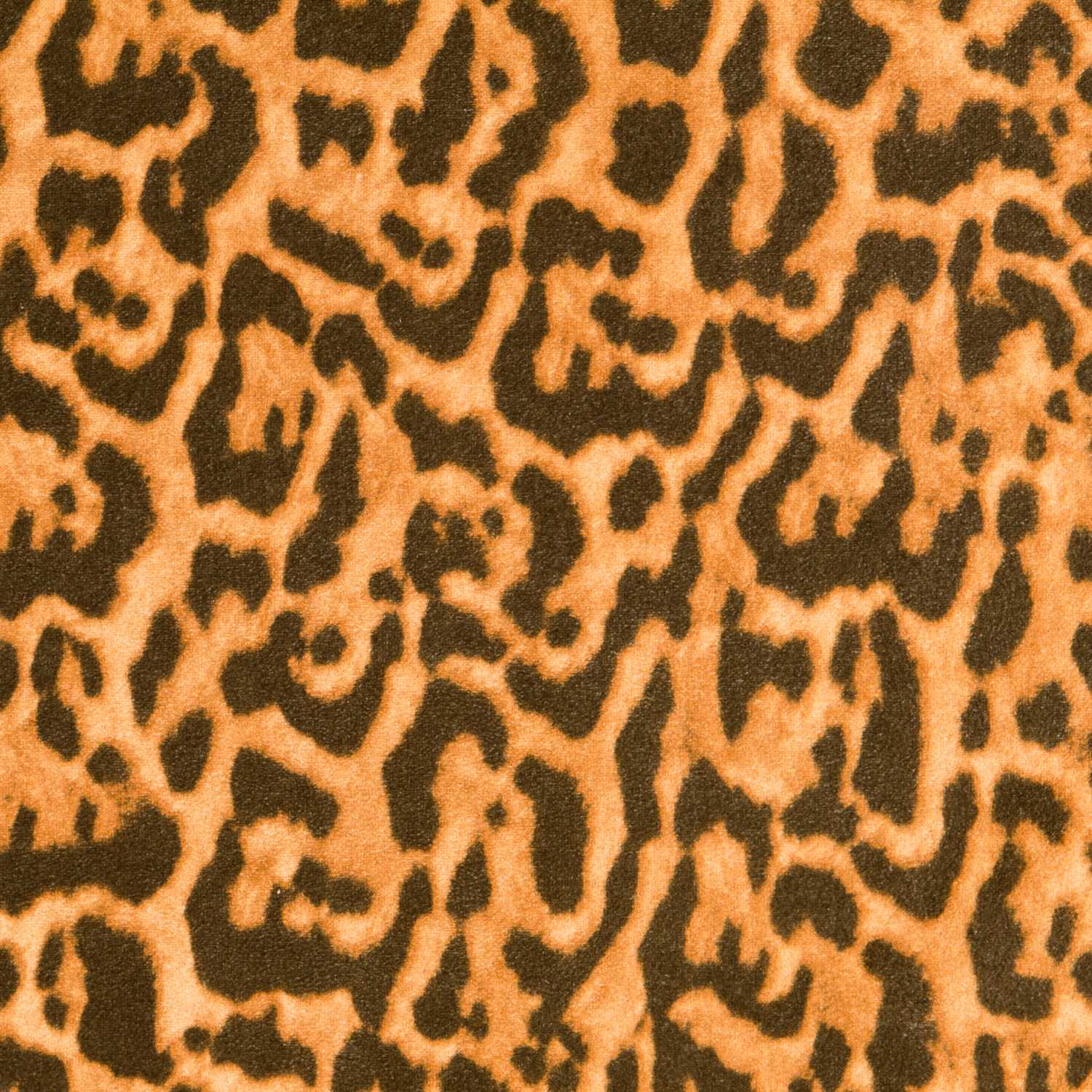 Daim Imprimé Animal Leópard Beige - Ribes y Casals