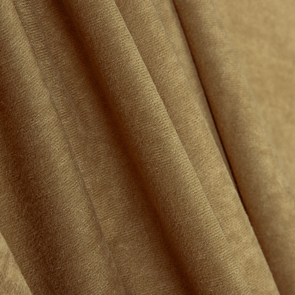 Antelina Camel - Ribes y Casals