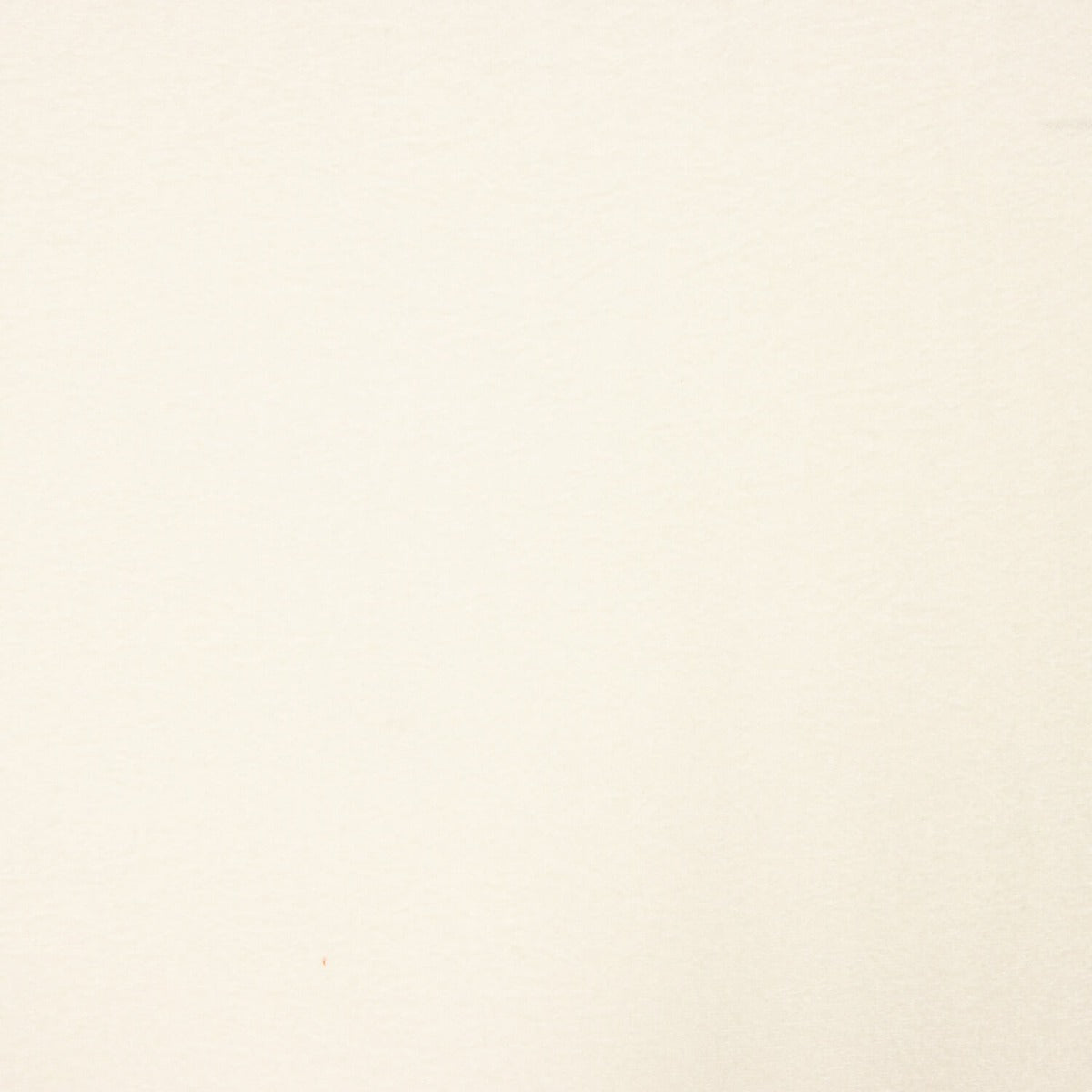 Faux suède naturel - Ribes y Casals