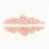 Applique Sofia Strass - Ribes y Casals