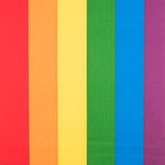 Retal Bandera Arco Iris Orgullo 55x80 cm - Ribes y Casals