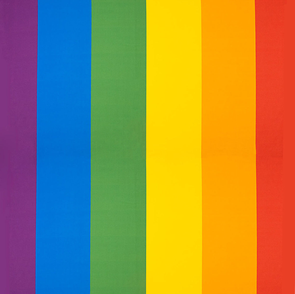 Maxi drapeau de la fierté multicolore - Ribes y Casals