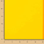 Maxi drapeau de la fierté multicolore - Ribes y Casals