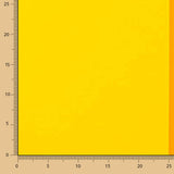 Maxi drapeau de la fierté multicolore - Ribes y Casals