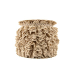 Bande de dentelle beige 22 mm - Ribes y Casals