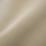 Velours Anti-Taches Beige - Ribes y Casals