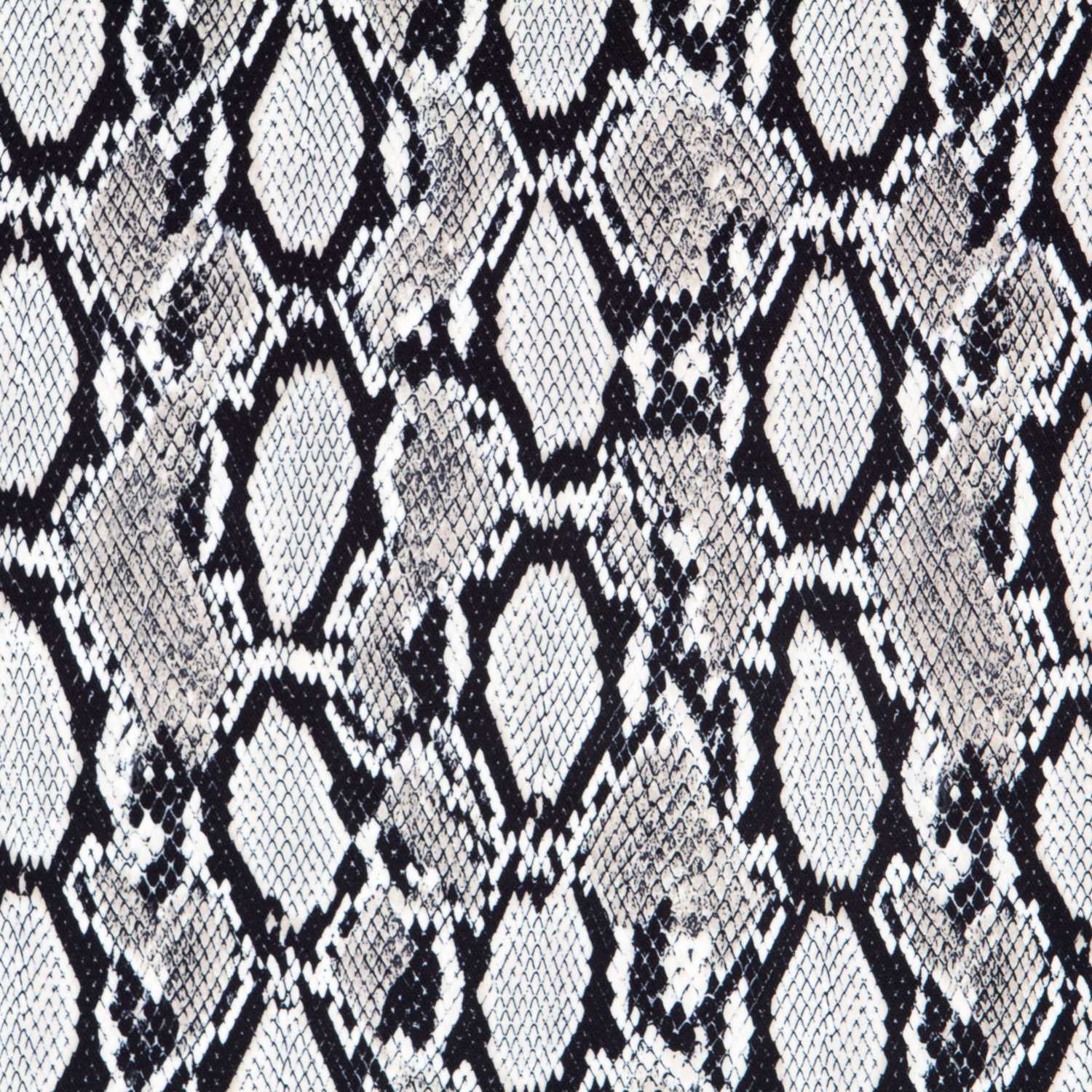 Biélastique Animal Print Gris - Ribes y Casals