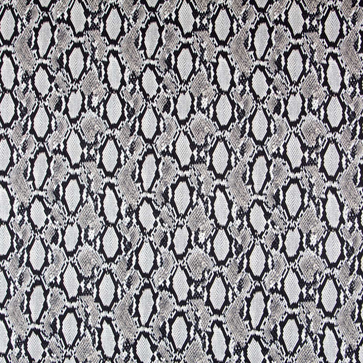 Biélastique Animal Print Gris - Ribes y Casals