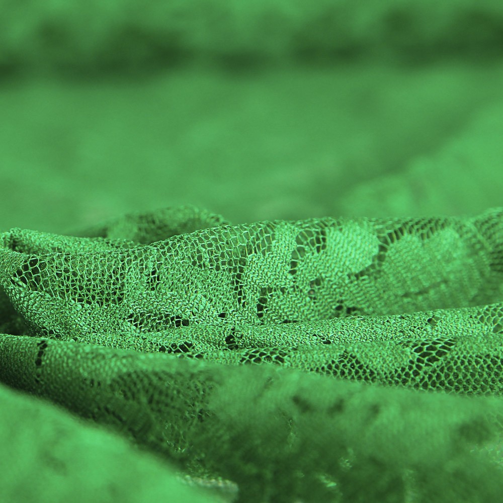 Dentelle verte à motifs floraux en Spandex - Ribes y Casals