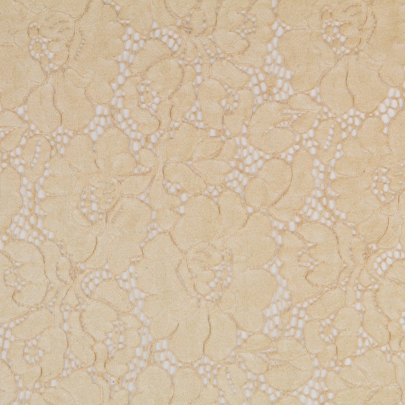 Dentelle Tie-dye Rebrodé Écru - Ribes y Casals