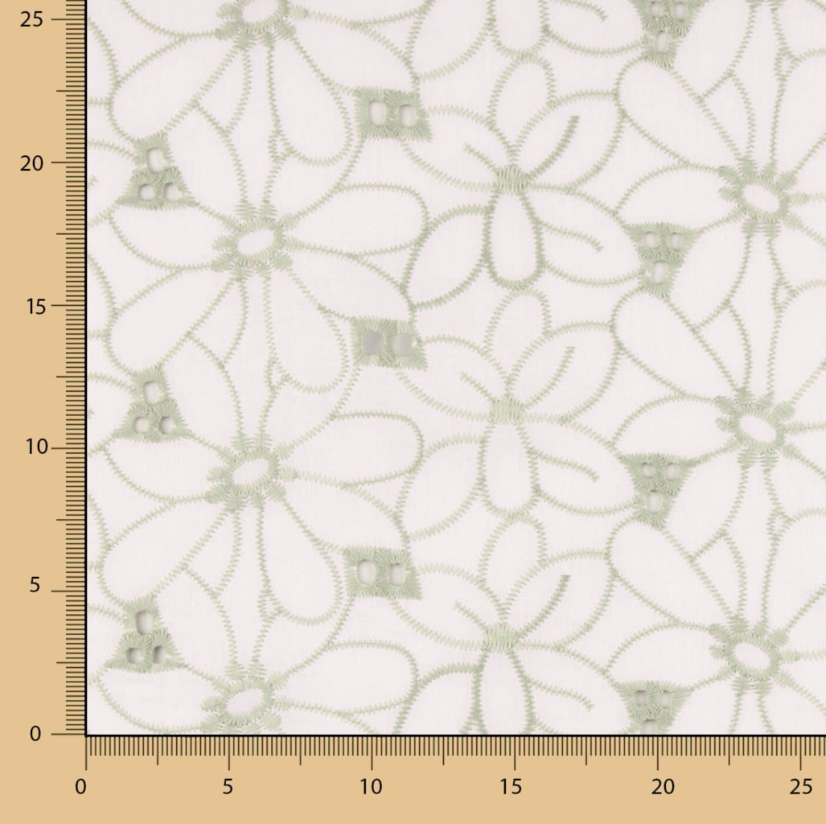 Broderie suisse Marguerite bordure verte - Ribes y Casals