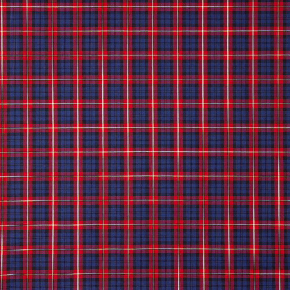 Chemise en coton tartan bleu marine - Ribes y Casals