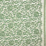 Dentelle Chantilly Verte Bicolore - Ribes y Casals