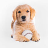 Coussin Petit Chien Golden - Ribes y Casals