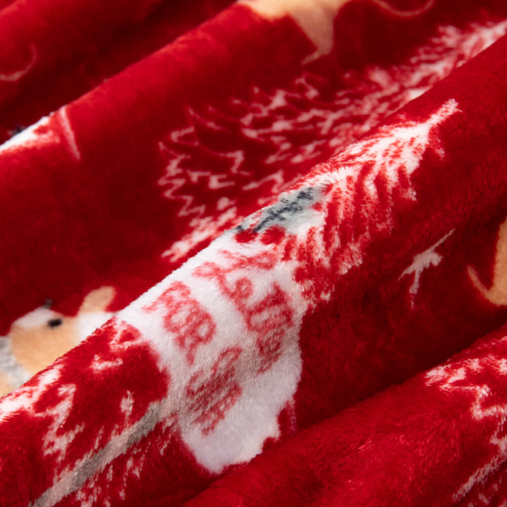 Minky Lettres Grenat - Ribes y Casals