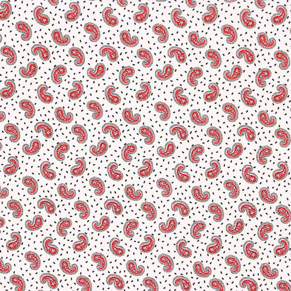 Crêpe Polyester Mini Cachemire Blanc - Ribes y Casals