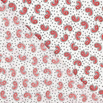 Crêpe Polyester Mini Cachemire Blanc - Ribes y Casals