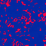 Crêpe Satin Oiseaux Bleu Clair - Ribes y Casals