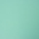 Crêpe Polyester Vert Menthe - Ribes y Casals