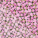 Crêpe Viscose Fleurs Roses - Ribes y Casals