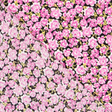 Crêpe Viscose Fleurs Roses - Ribes y Casals