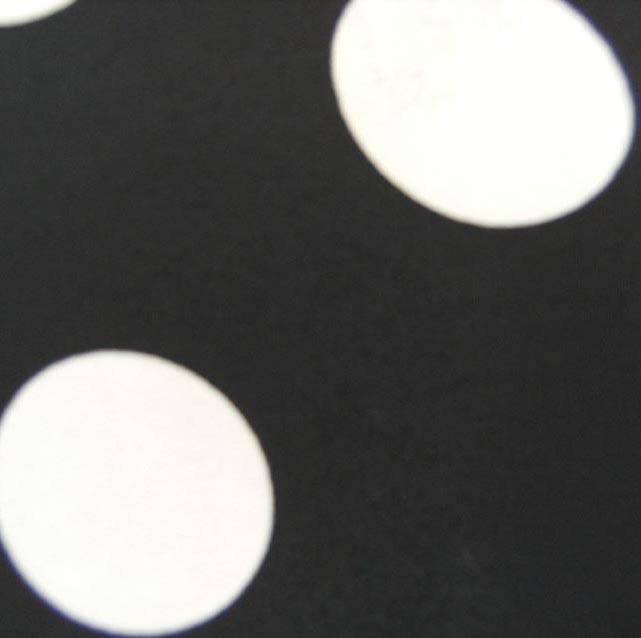 Crispy Milano Pois 35 mm. Noir-Blanc - Ribes y Casals