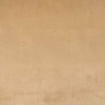 Minky et polaire double face – Camel - Ribes y Casals