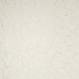 Dentelle Chantilly Écru - Ribes y Casals