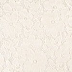 Dentelle Élastique Flamenca Écru - Ribes y Casals