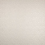 Dentelle Lamée Or Blanc - Ribes y Casals