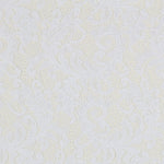 Dentelle New Rebrodé Blanc - Ribes y Casals