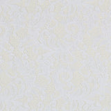 Dentelle New Rebrodé Blanc - Ribes y Casals