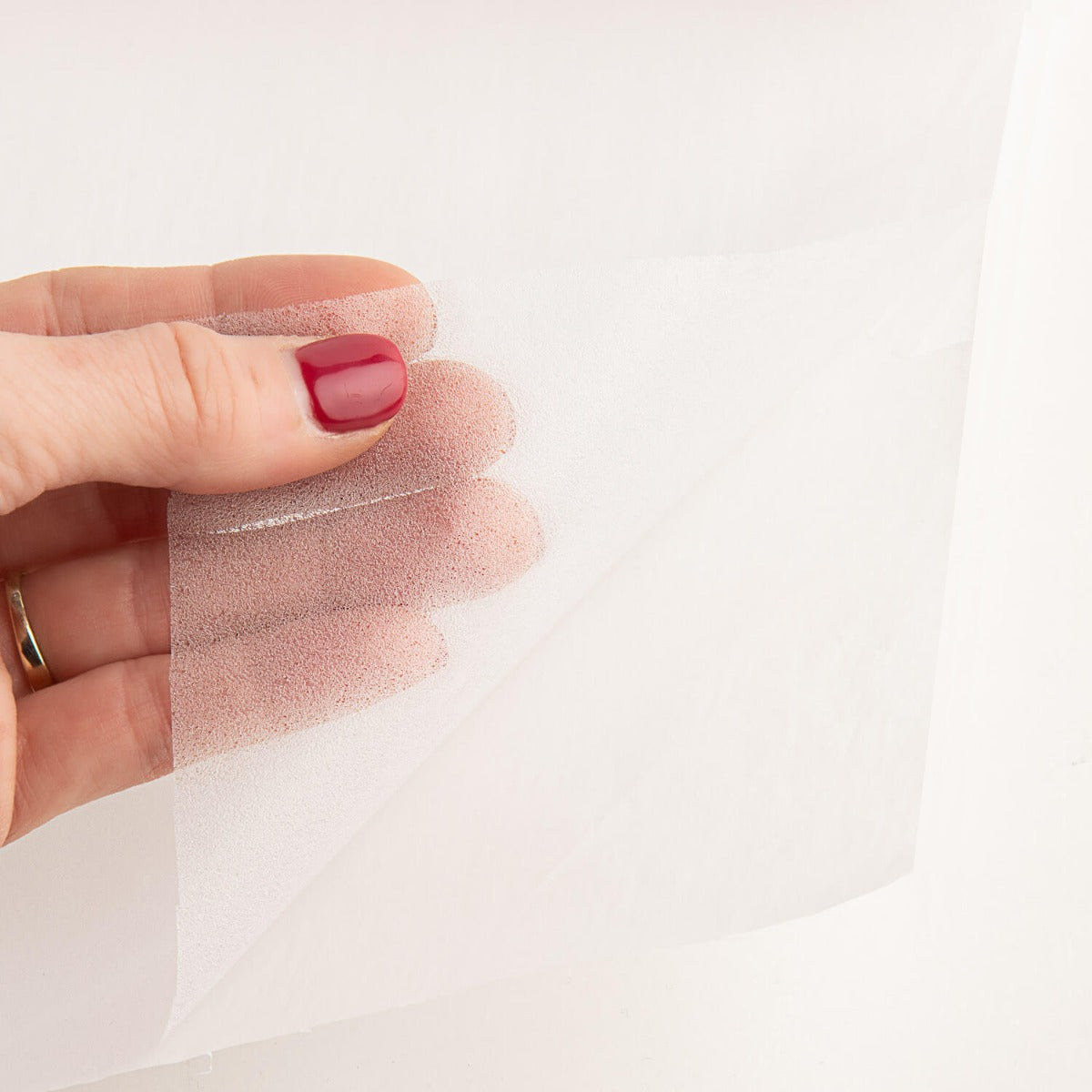 Toile d&#39;araignée blanche - Ribes y Casals