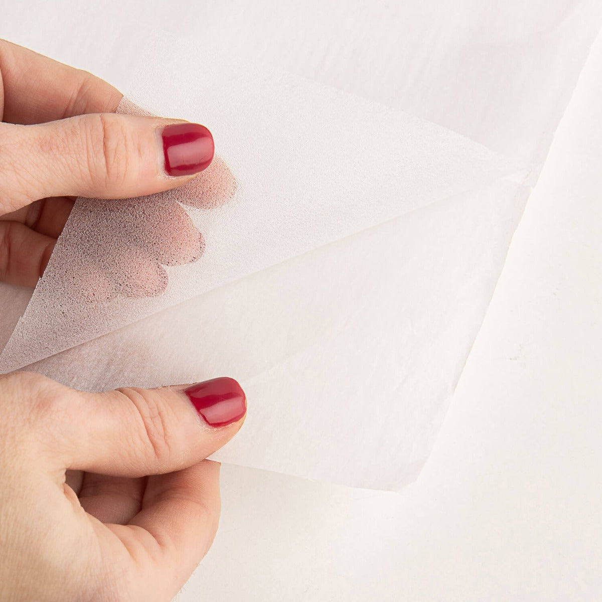 Toile d&#39;araignée blanche - Ribes y Casals