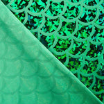 Hologramme Foiled Couleur Vert - Ribes y Casals